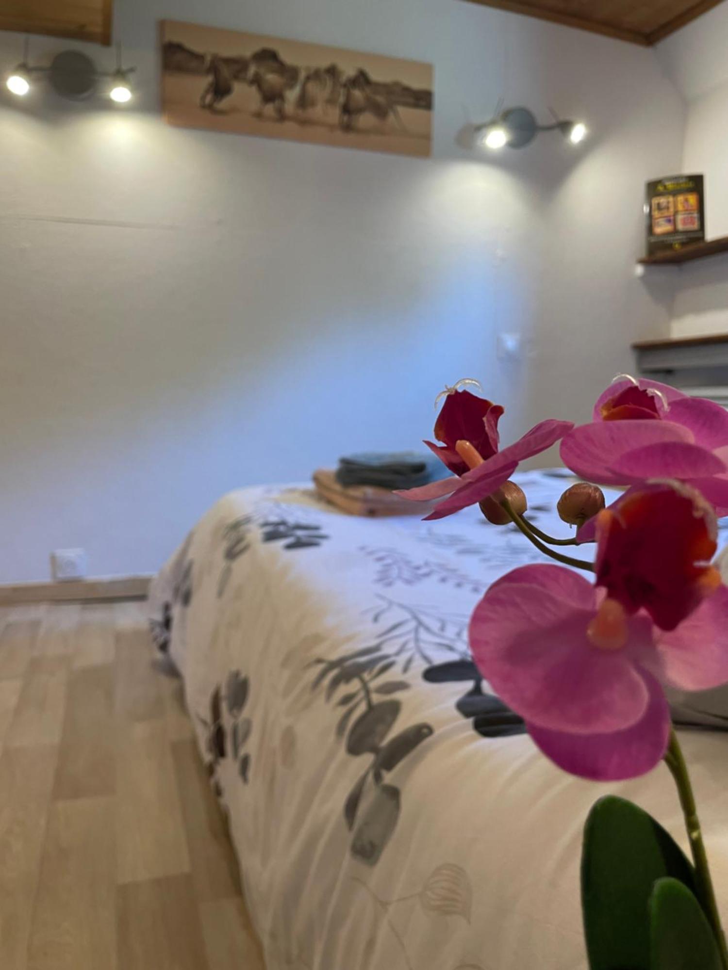 Peniche Le Pescalune - Chambre D'Hotes Arles Luaran gambar
